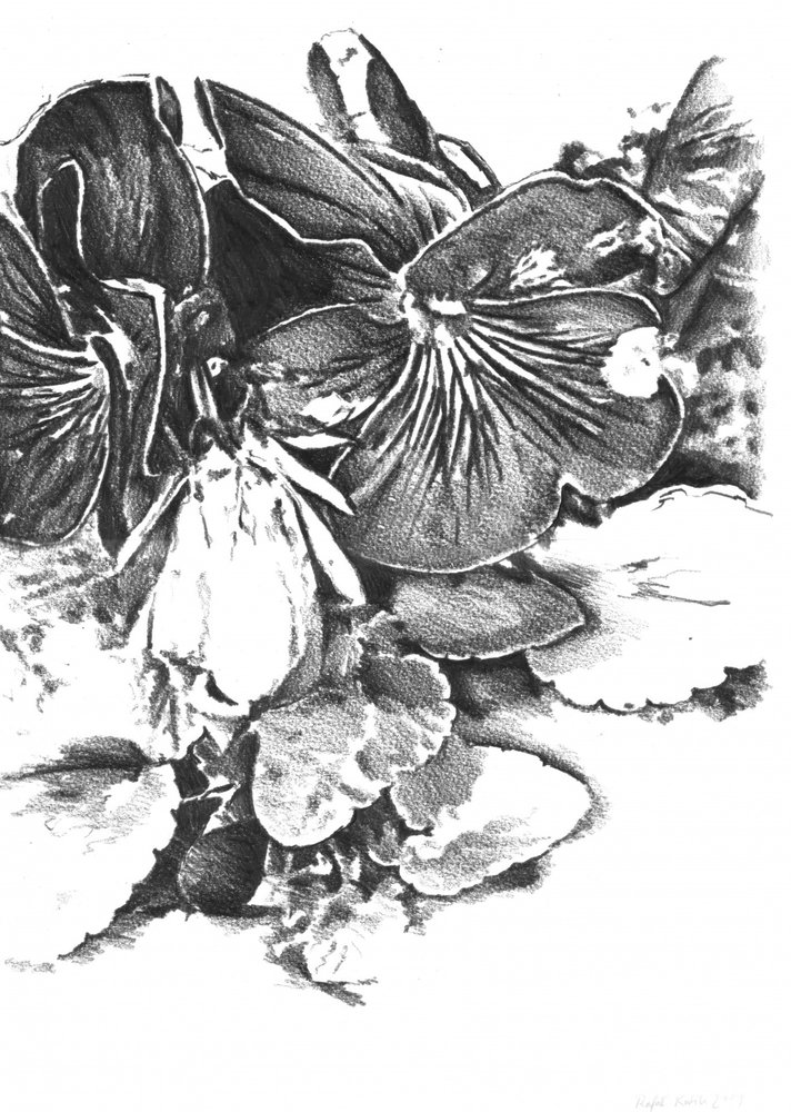  av Kulik
