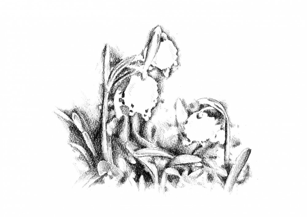  av Kulik