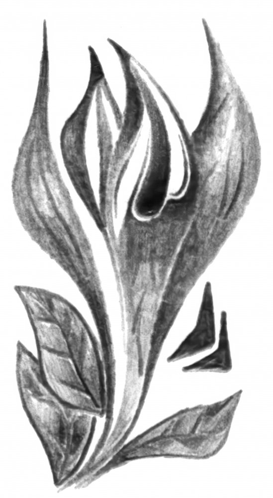  av Kulik