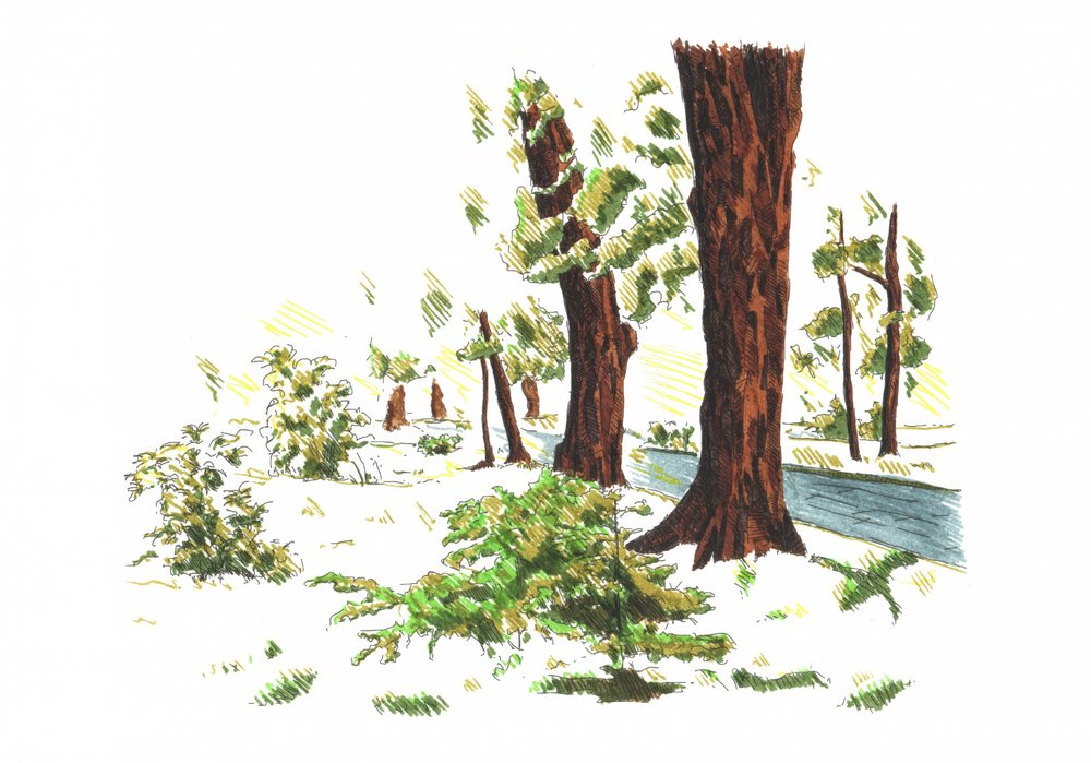  av Kulik