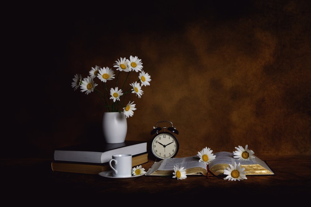 Daisies Books Morgonens frid av Leah Xu