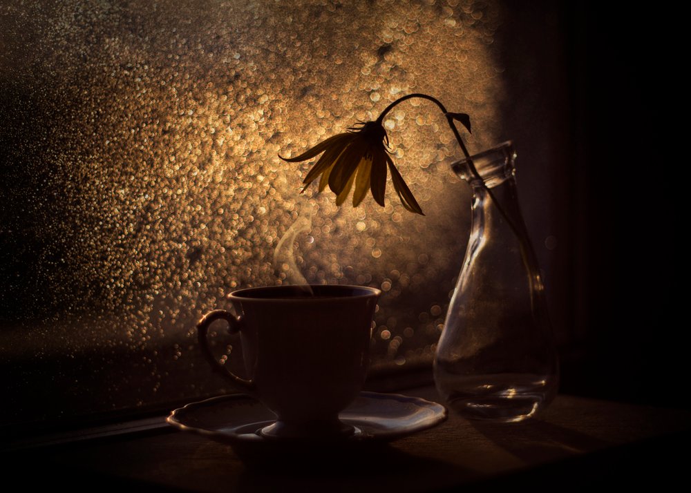 Golden Light-kaffeblomma av Lenka