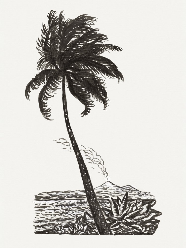 Palmträd med en ö (ca 1891–1941) av Leo Gestel