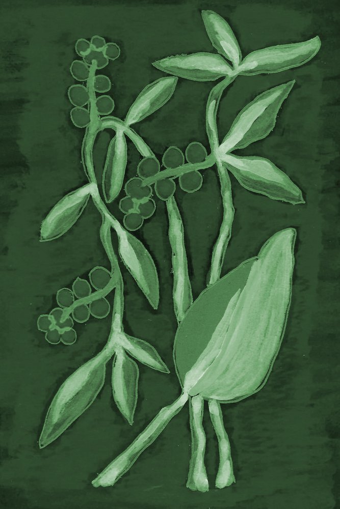 Botaniska nyanser av grönt av Lori Ann Folz