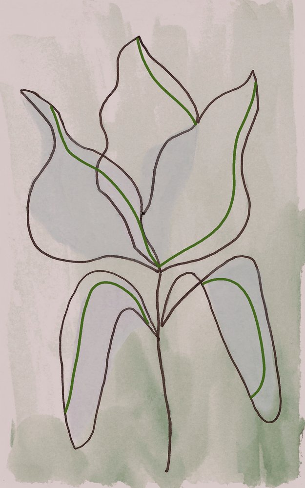 Minimalistisk botanisk skiss av Lori Ann Folz