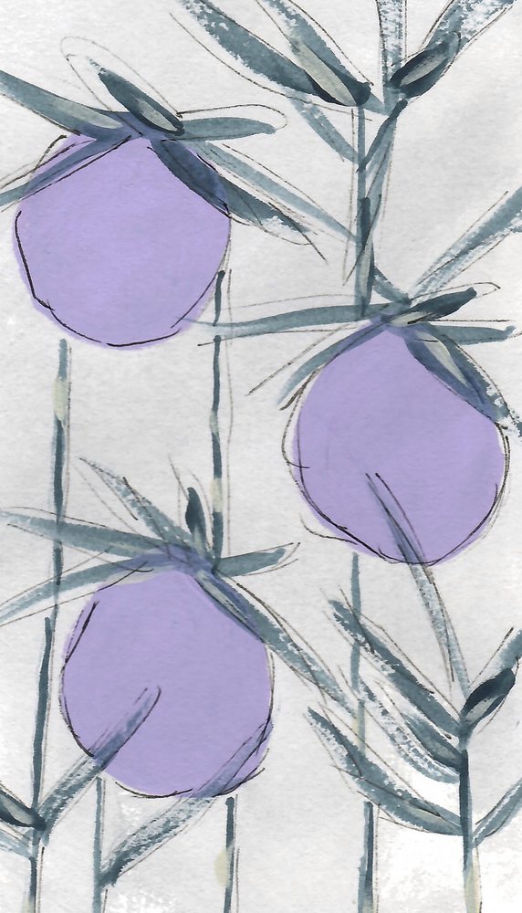 Lila botaniska frukter av Lori Ann Folz