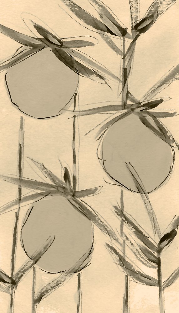 Sepia-bomullsplantor av Lori Ann Folz