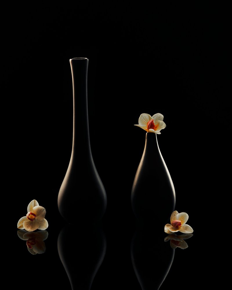 Eleganta orkidéreflektioner av Louie Luo