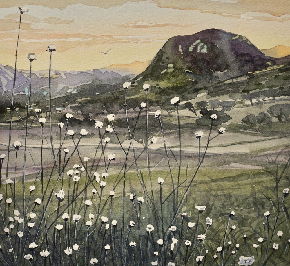 Golden Sky Vildblommor av Luisa Millicent