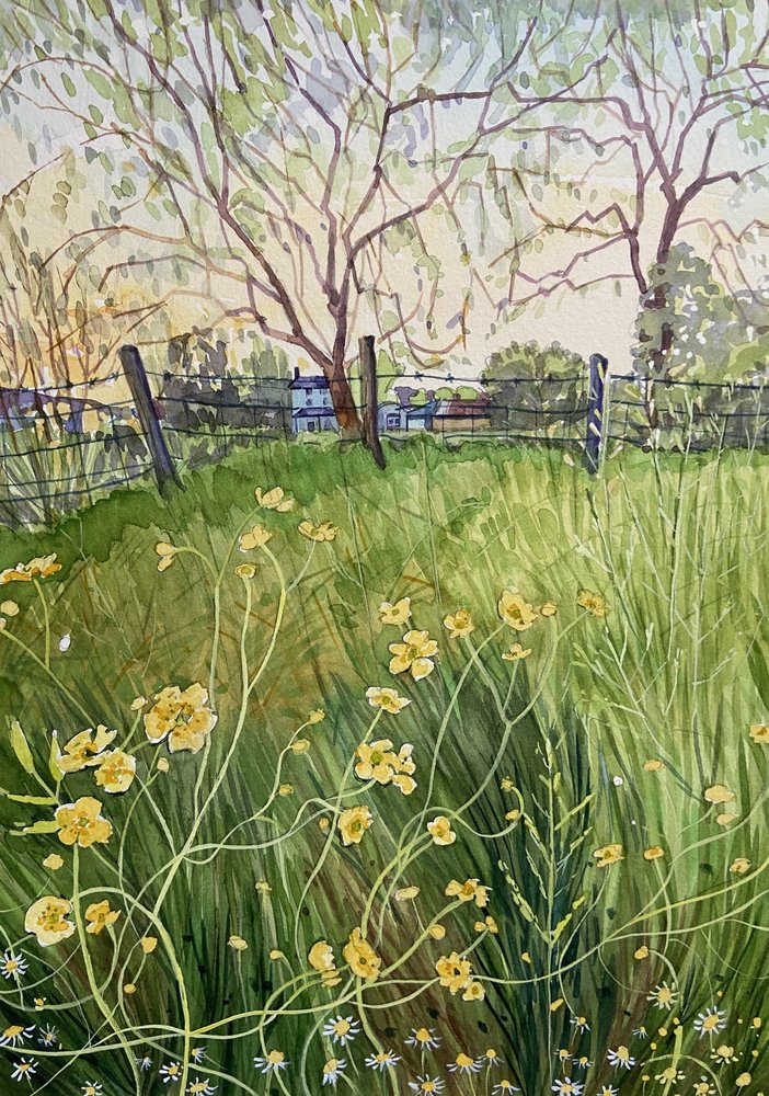 Ängsblommor och staket av Luisa Millicent