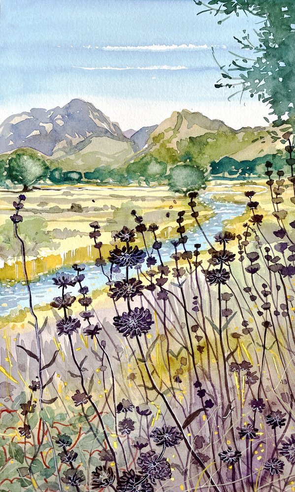 Vildblommor vid bergsfloden av Luisa Millicent