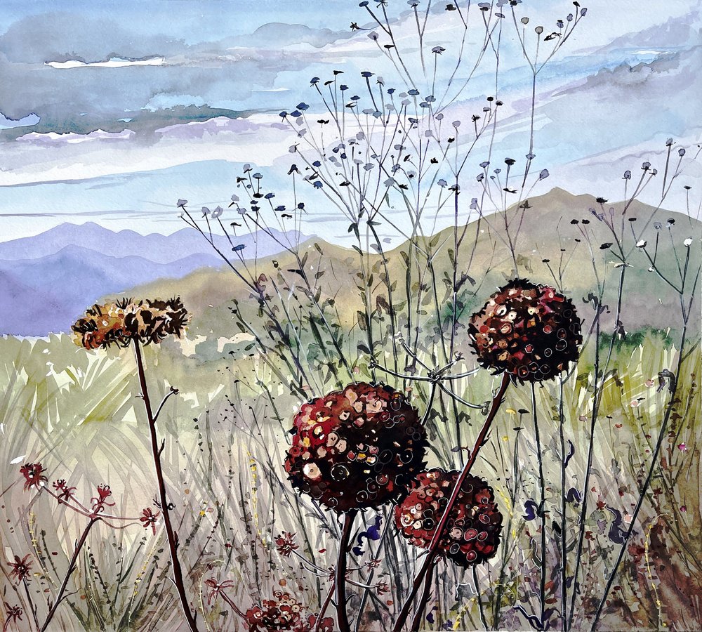 Vildblommor och berg av Luisa Millicent
