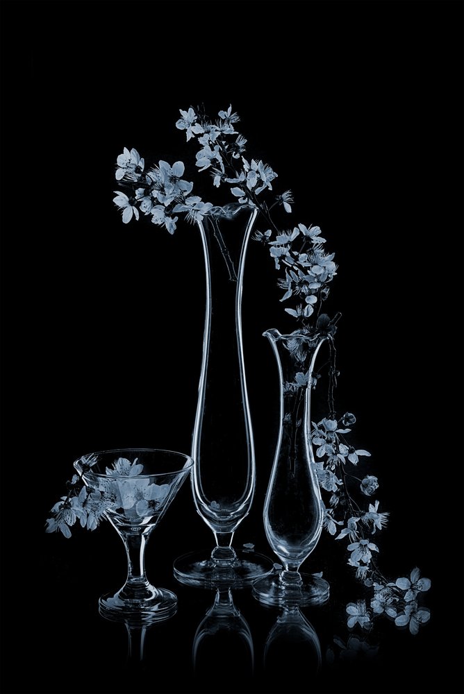 Blå blommor i glasvaser av Lydia Jacobs