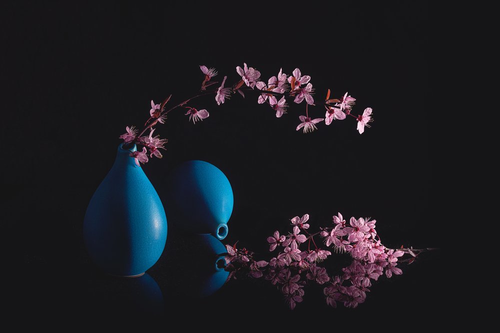 Blå vaser med körsbärsblommor av Lydia Jacobs