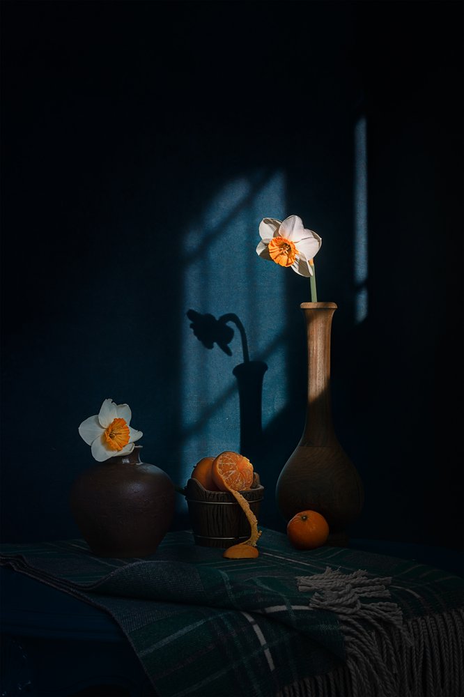 Påskliljor Citrus Shadows av Lydia Jacobs