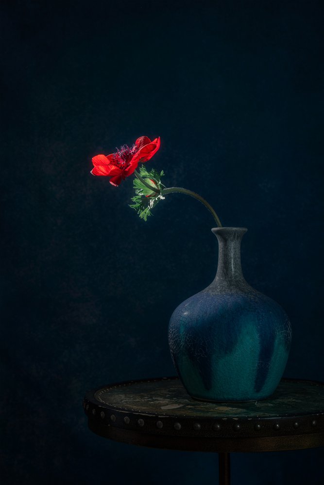 Vase ”Dark Anemone” av Lydia Jacobs
