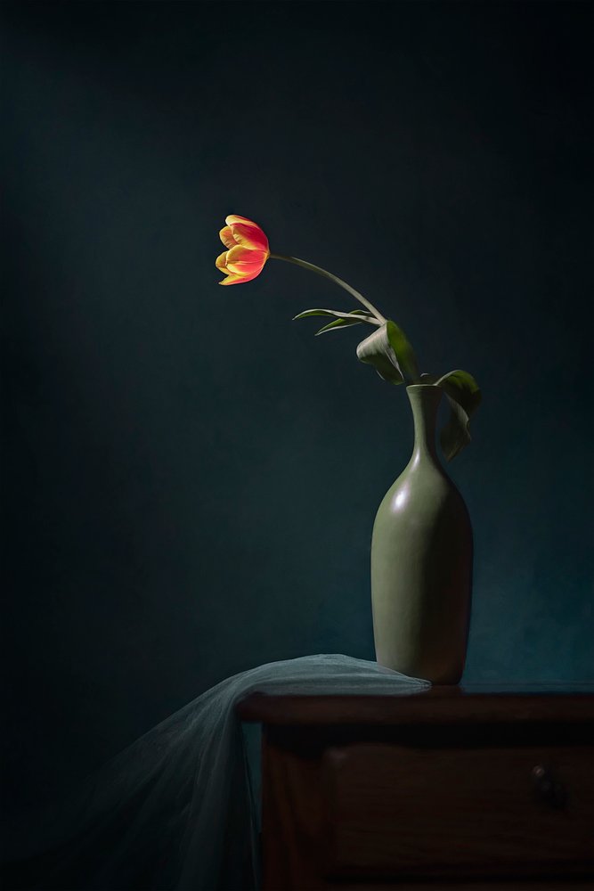 Mörkt blomsterstilleben av Lydia Jacobs