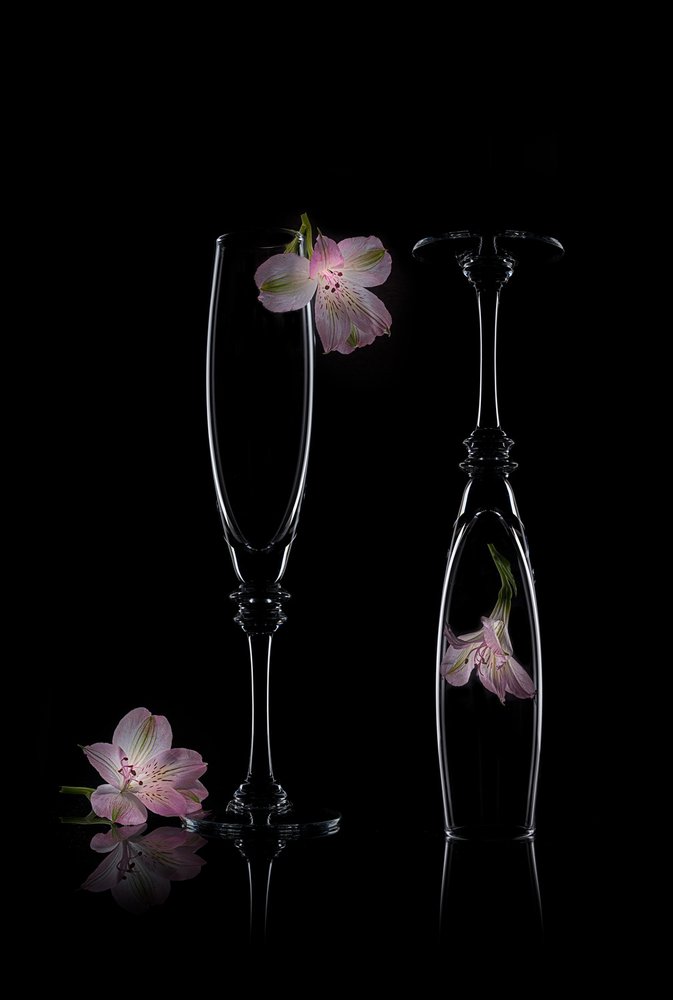 Fint blommig elegans av Lydia Jacobs