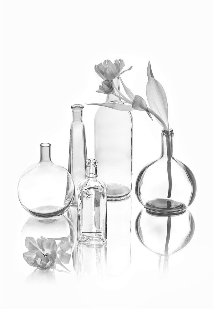 Eleganta glastulpaner av Lydia Jacobs