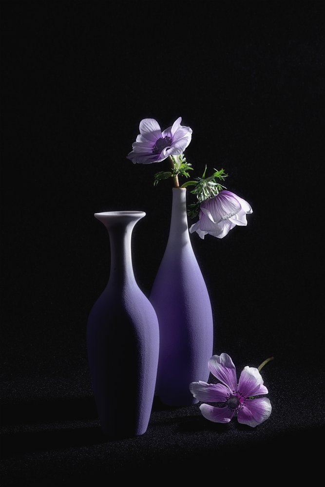 Eleganta lila anemoner av Lydia Jacobs