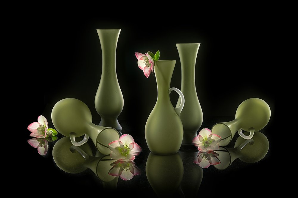 Eleganta vaser och blommor av Lydia Jacobs