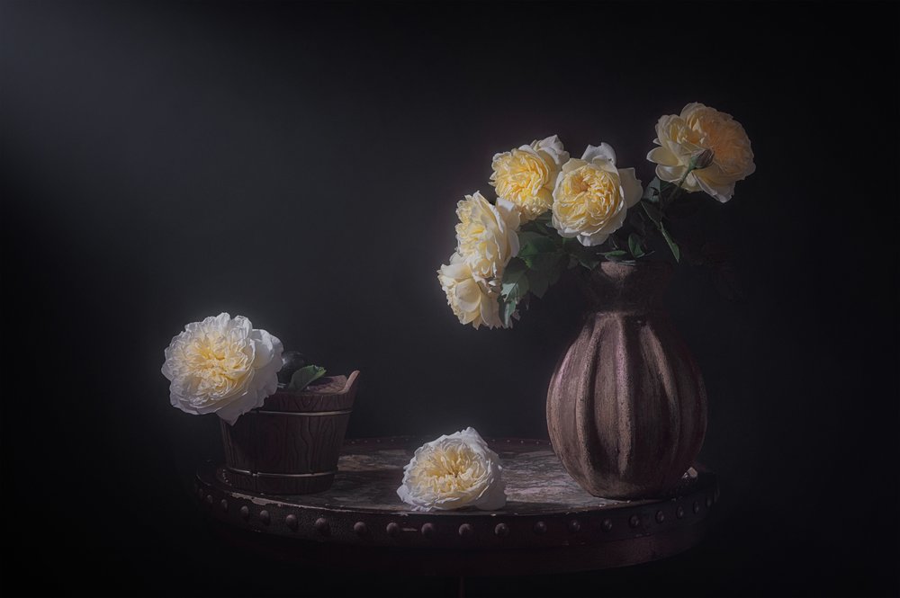 Eleganta gula rosor av Lydia Jacobs