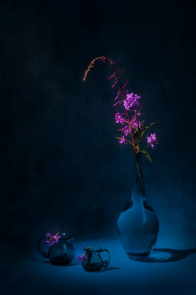 Stilleben med Moody Fireweed av Lydia Jacobs