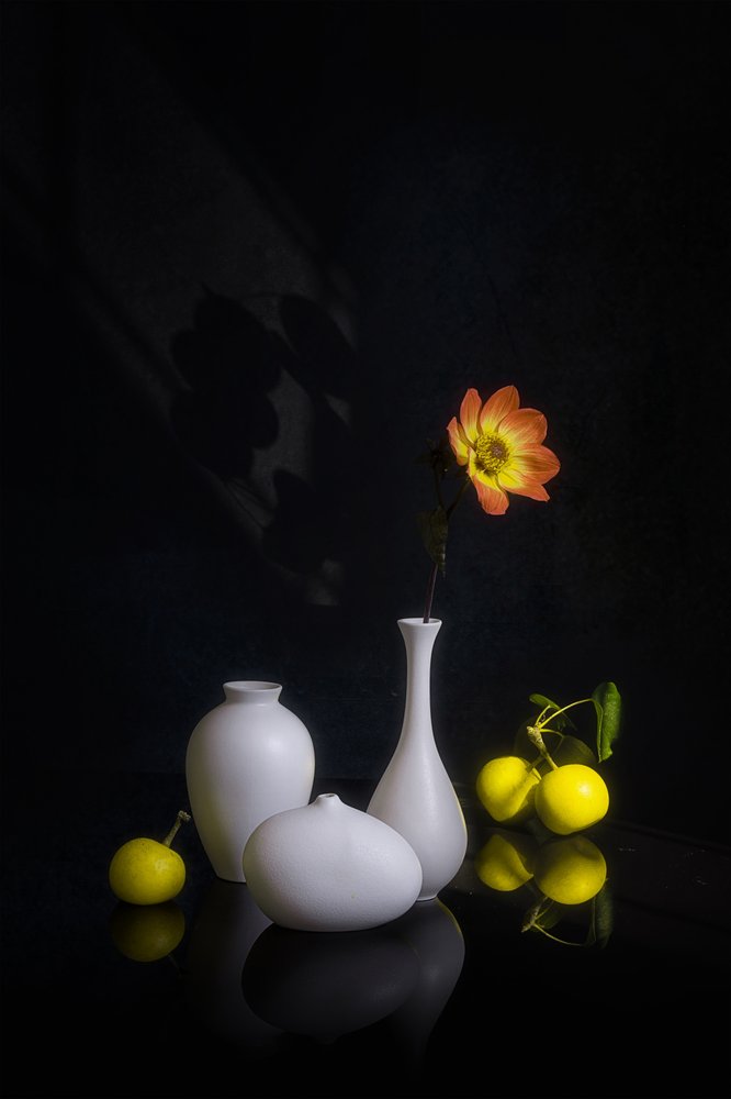 Stämningsfulla blommor och frukter av Lydia Jacobs
