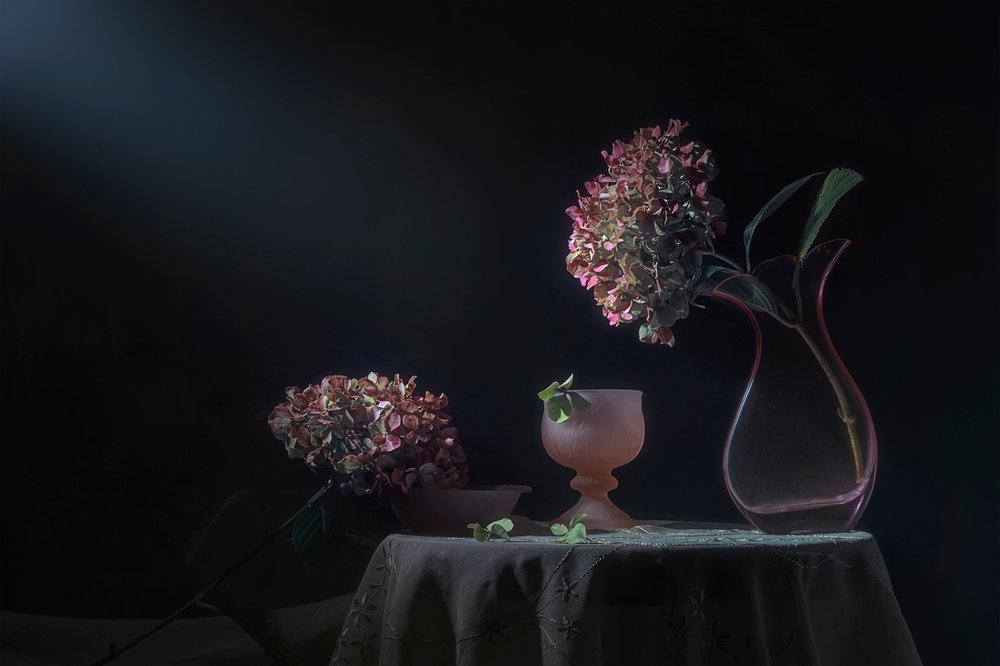 Stilleben med Moody-hortensia av Lydia Jacobs