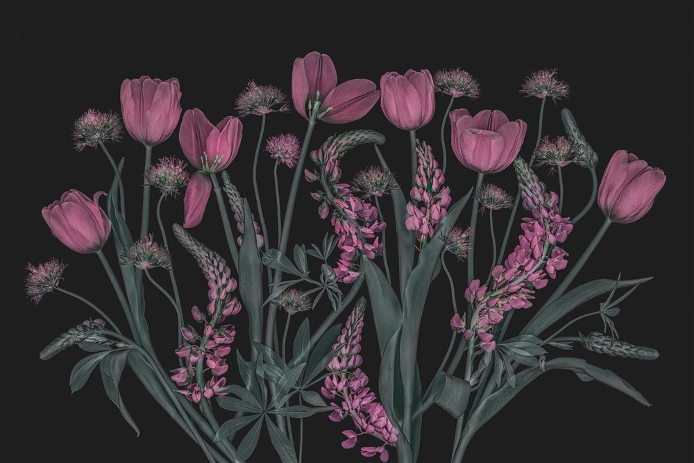 Stämningsfulla rosa blommor av Lydia Jacobs