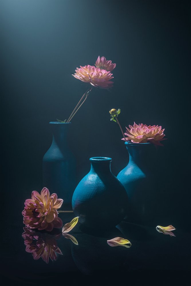 Moody Pink-dahlior av Lydia Jacobs
