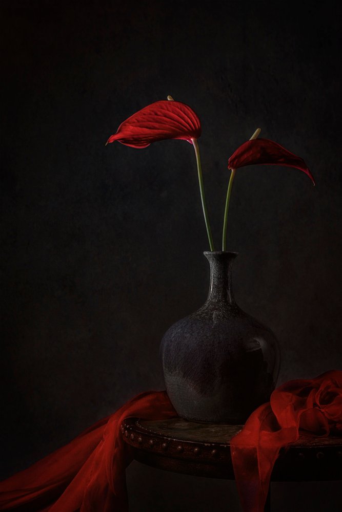 Anthurium i färgen Moody Red av Lydia Jacobs