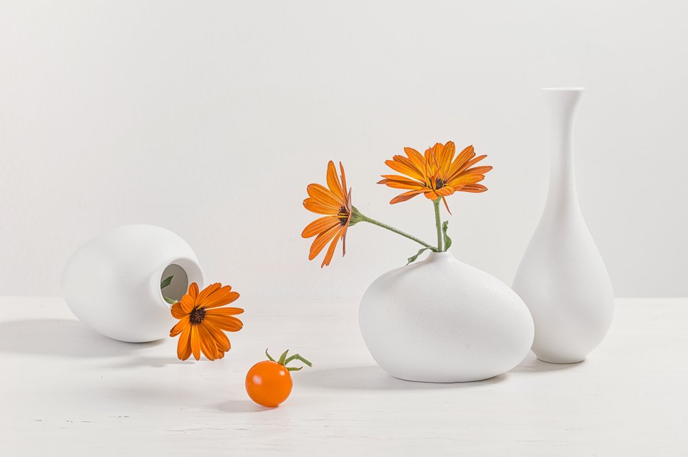 Modernt stilleben med apelsinblommor av Lydia Jacobs