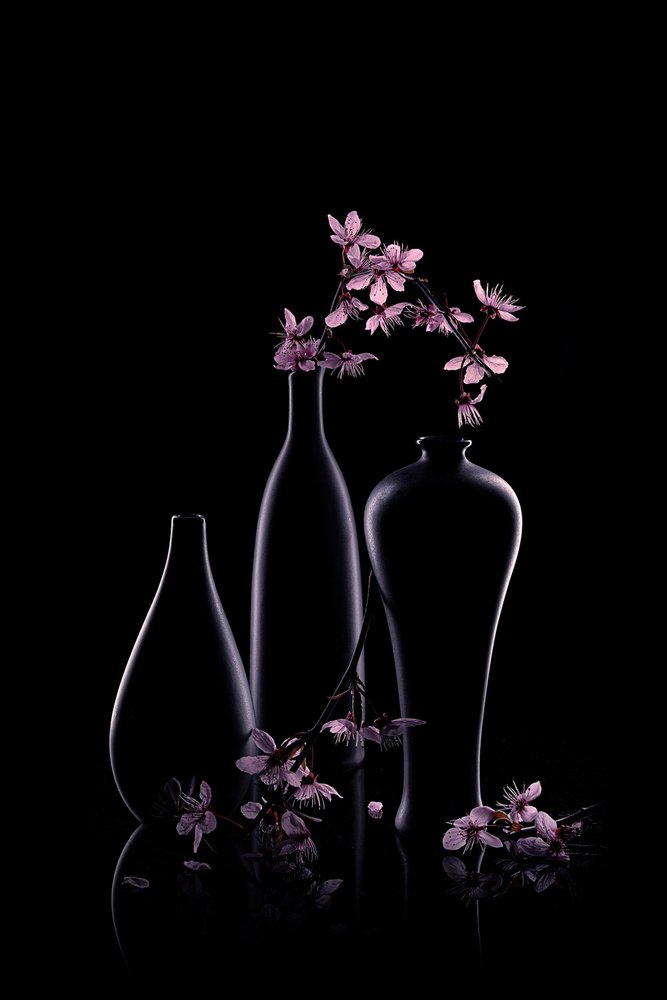 Rosa blommor i mörka vaser av Lydia Jacobs