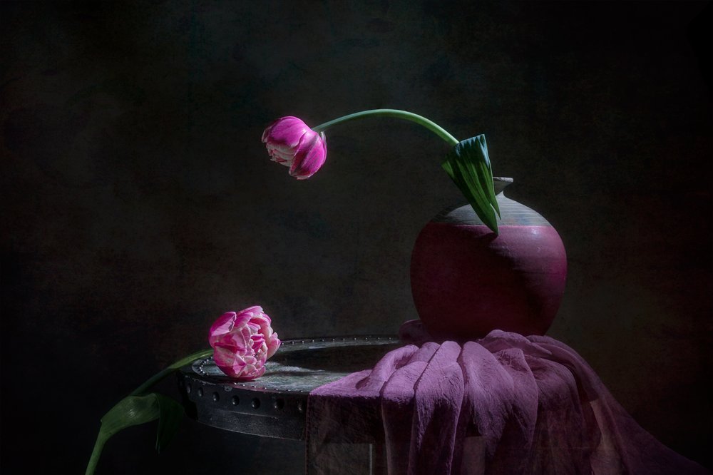 Stilleben med rosa tulpaner av Lydia Jacobs