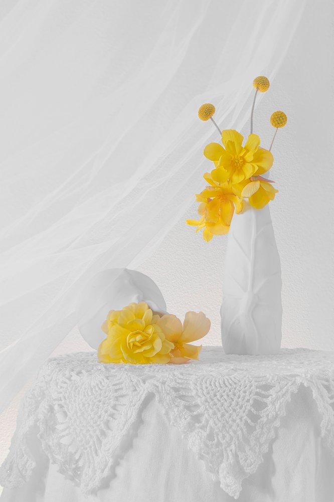 Stilleben med mjuka gula blommor av Lydia Jacobs