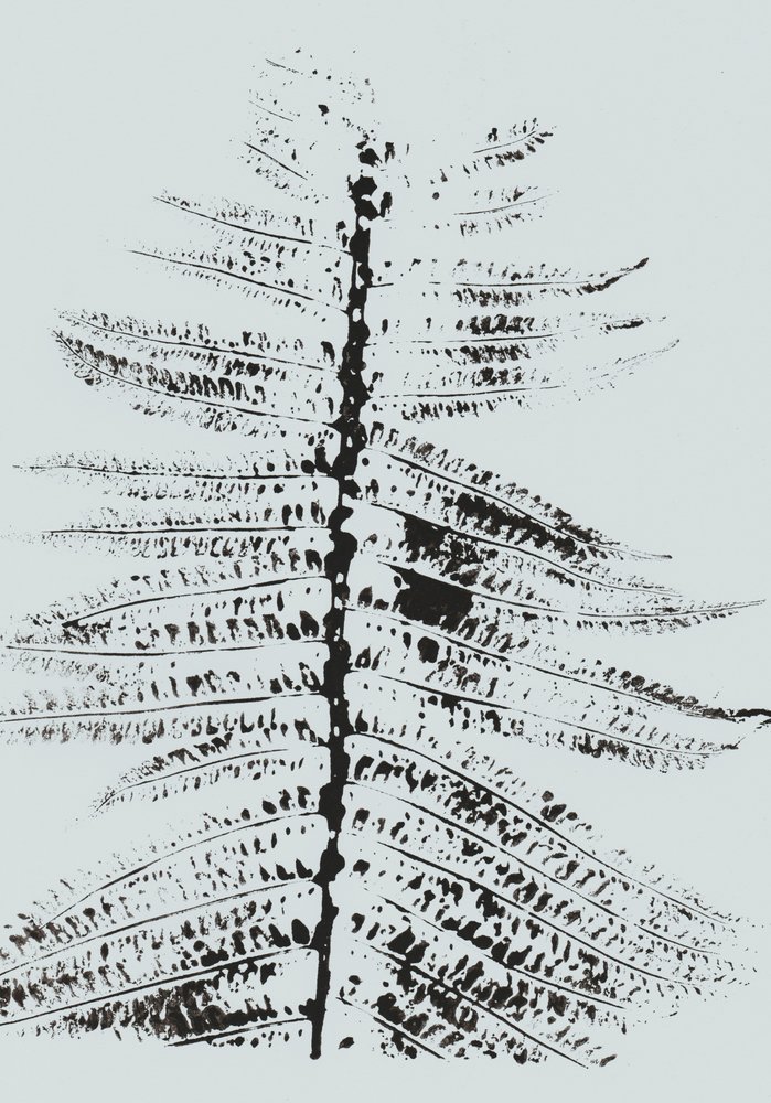 Black Ink Fern av Maira Ribena