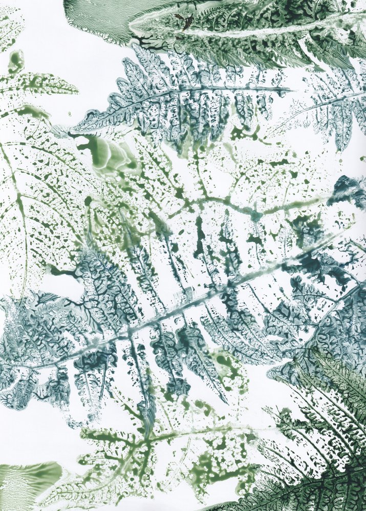 Botaniska intryck av ormbunkar av Maira Ribena