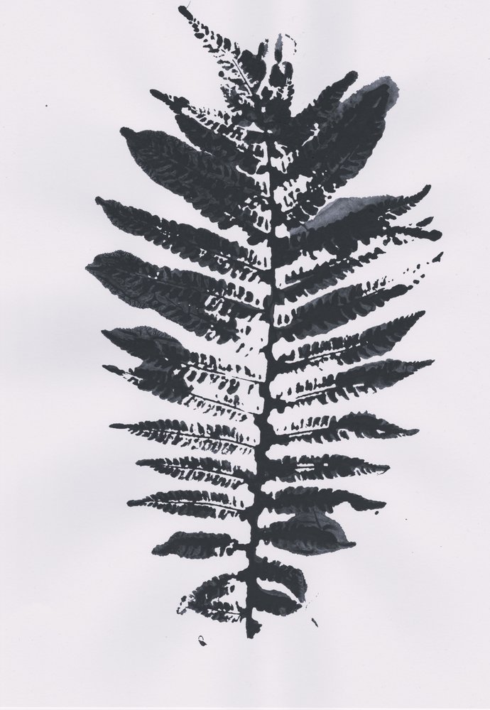 Elegant Fern Leaf av Maira Ribena