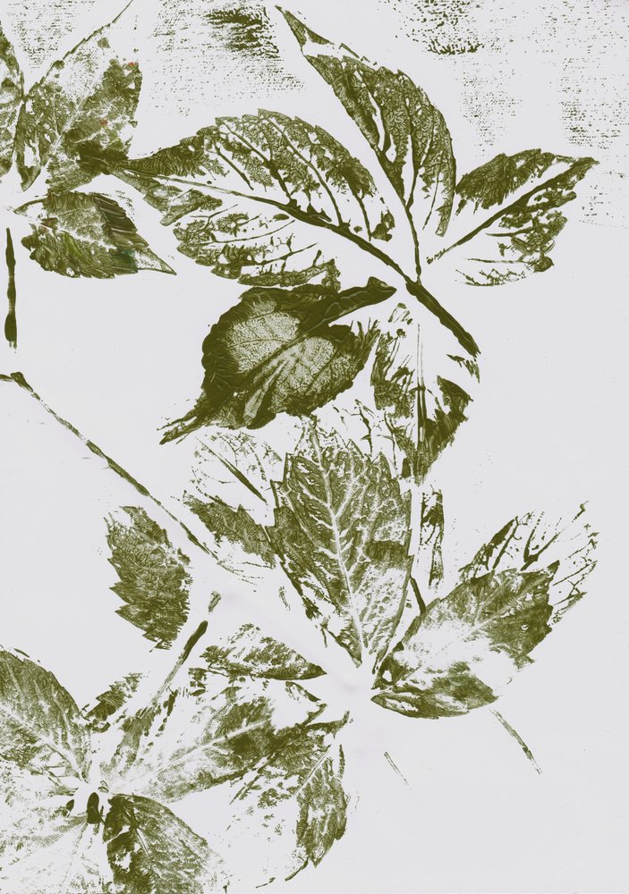 Mönster med gröna blad av Maira Ribena