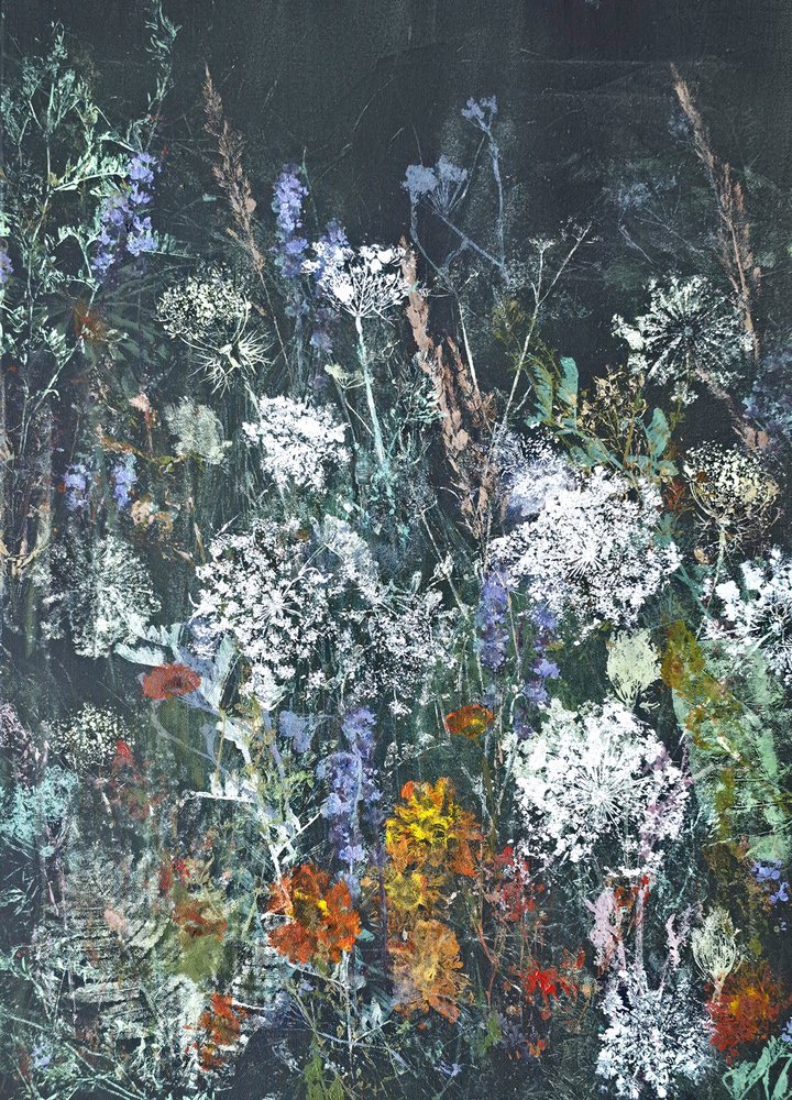 Vildblommor som blommar vid midnatt av Maira Ribena