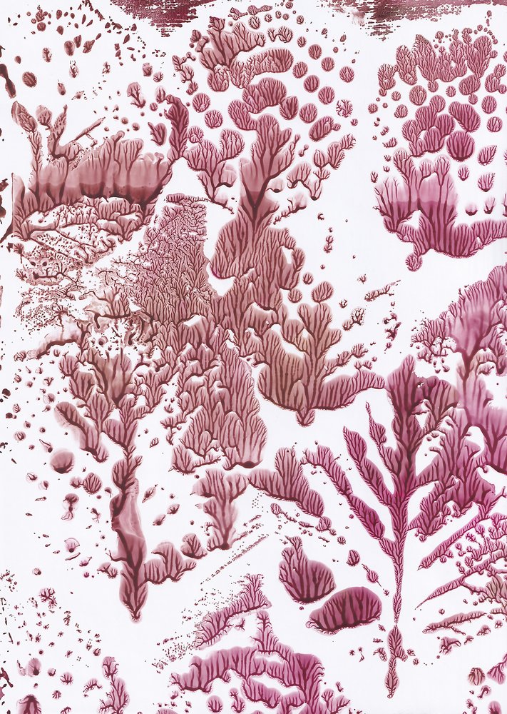 Organisk Maroon Flow av Maira Ribena