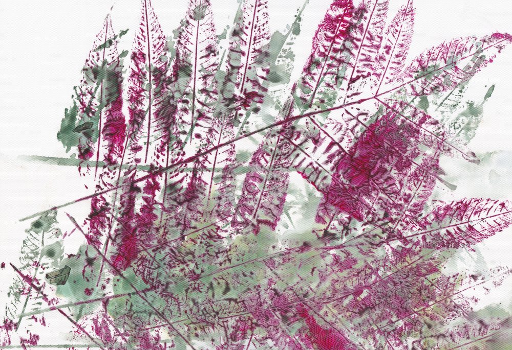 Färgsprakande botaniska ormbunkar av Maira Ribena