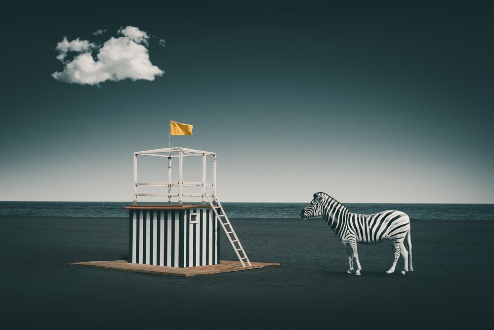 Surrealistisk strandzebra av Marcus Hennen