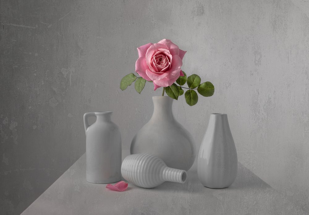 Stilleben med en ömtålig rosa ros av Margareth Perfoncio