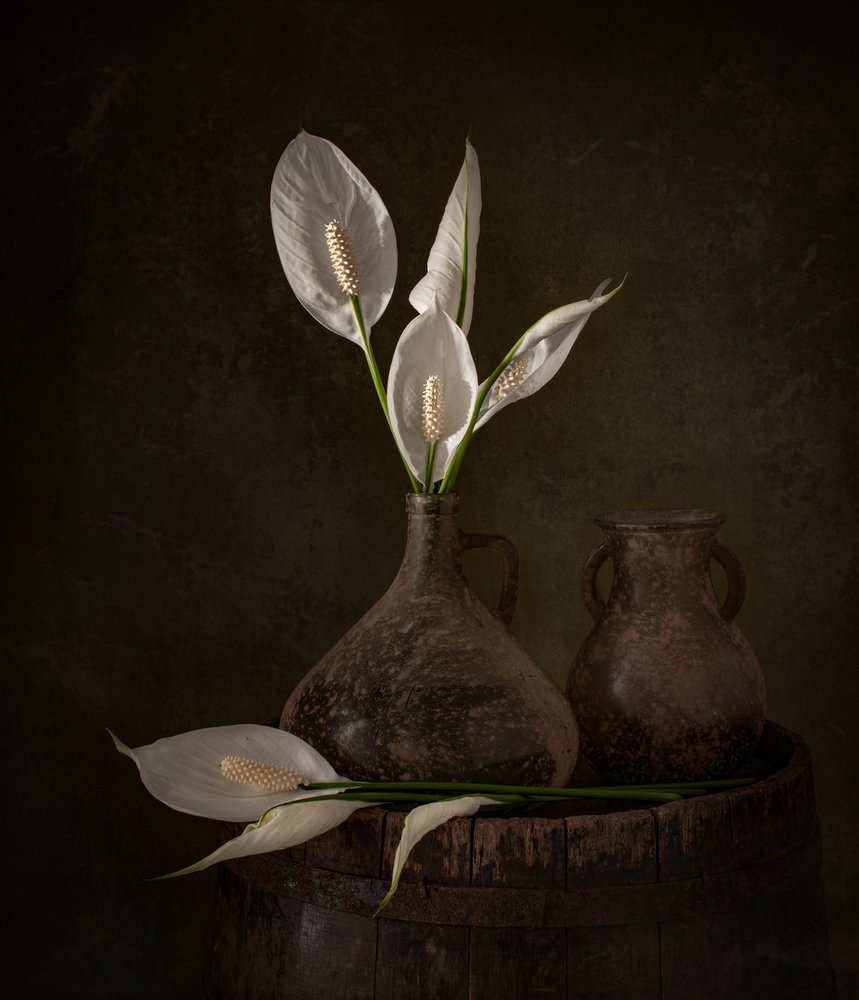 Moody-fredsliljor av Margareth Perfoncio