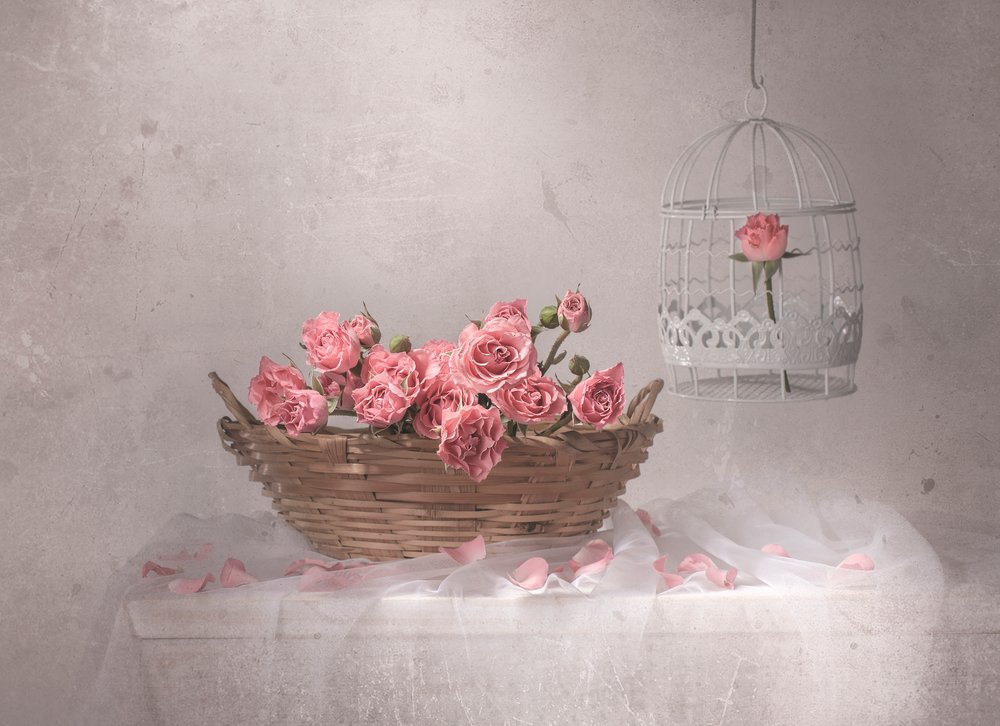Rosa rosor och fågelbur av Margareth Perfoncio
