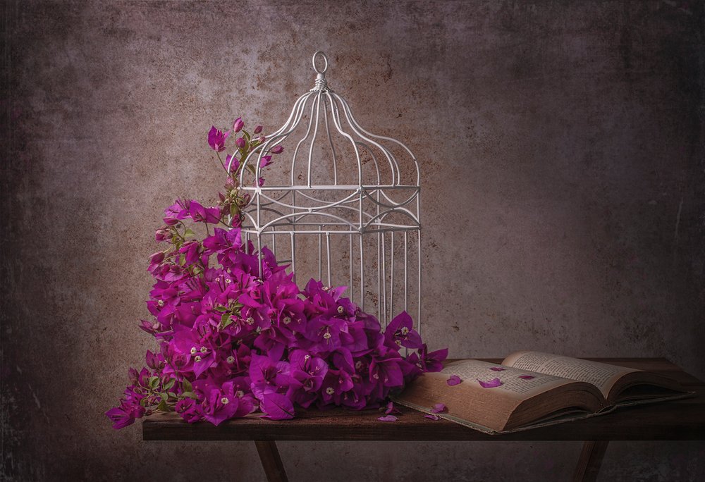 Rustik bougainvillea och bok av Margareth Perfoncio