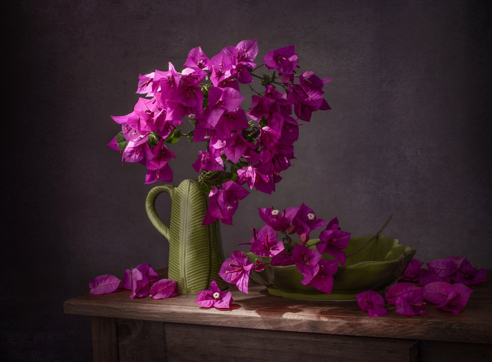 Stil liv med färgsprakande bougainvillea av Margareth Perfoncio