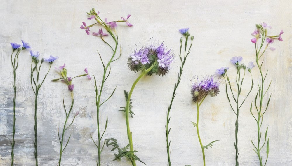 Eteriska vildblommor av Marie-anne Stas